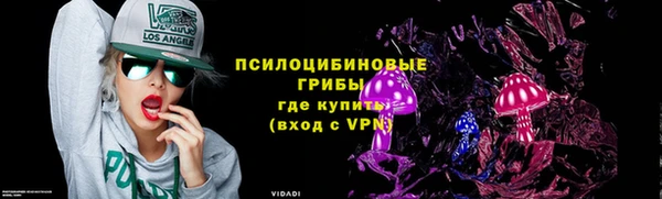 ПСИЛОЦИБИНОВЫЕ ГРИБЫ Алексеевка